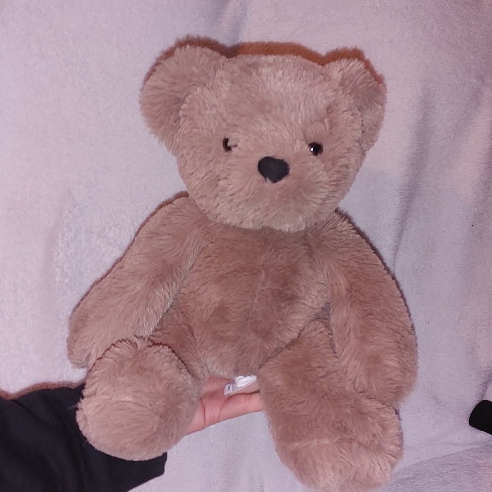 🩷3/$15🩷Cozy Tan Stuffed Bear for Kids Aurora